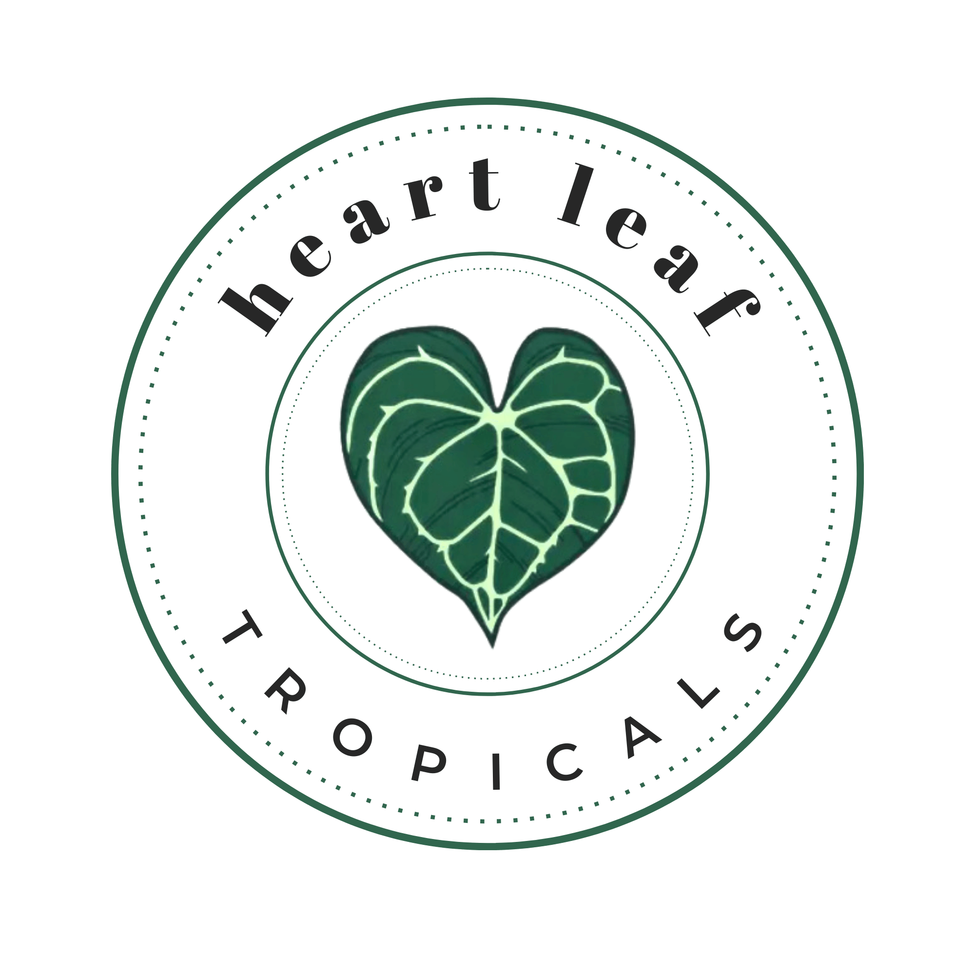 Heart Leaf Tropicals