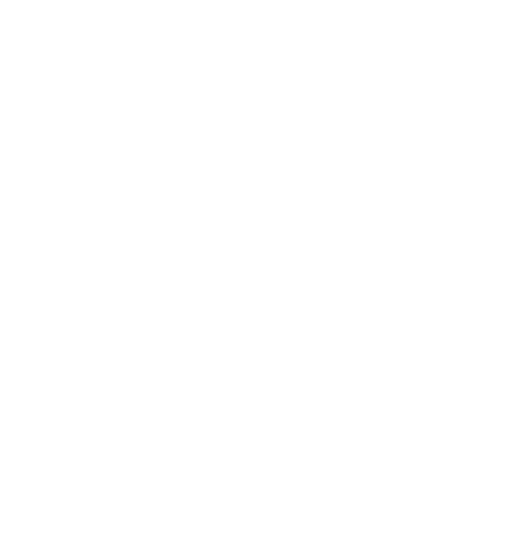 East Turkistan Australian Association