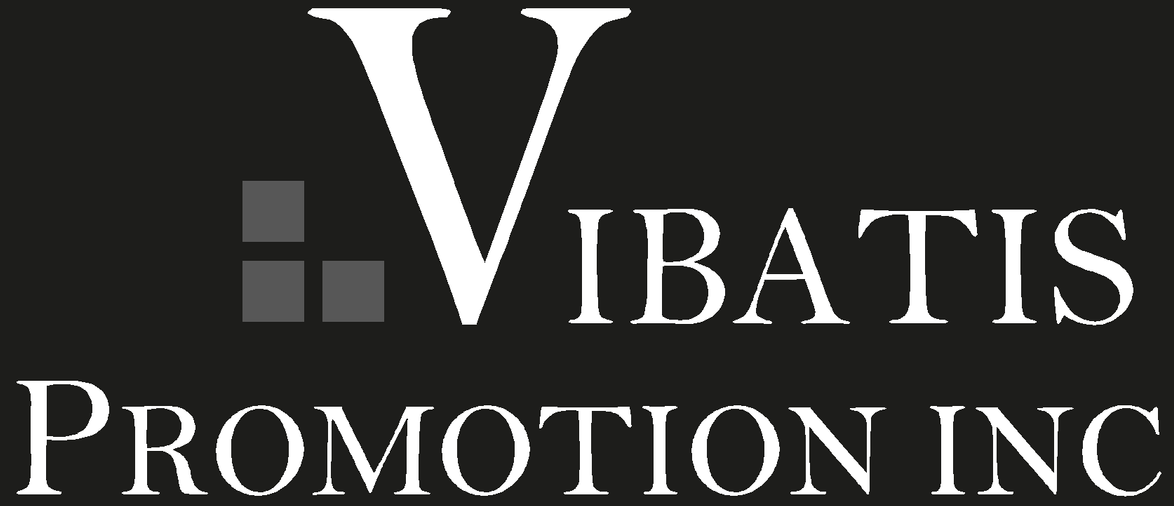 Vibatis Promotion Inc