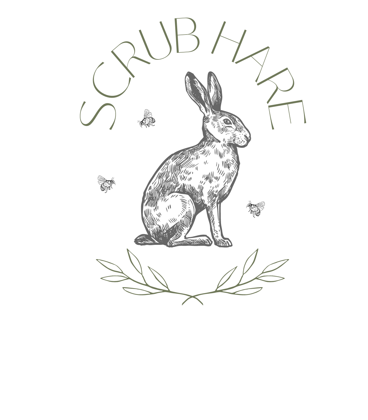 Scrub Hare 