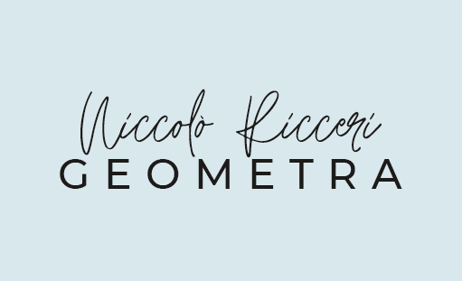 Niccolò Ricceri Geometra